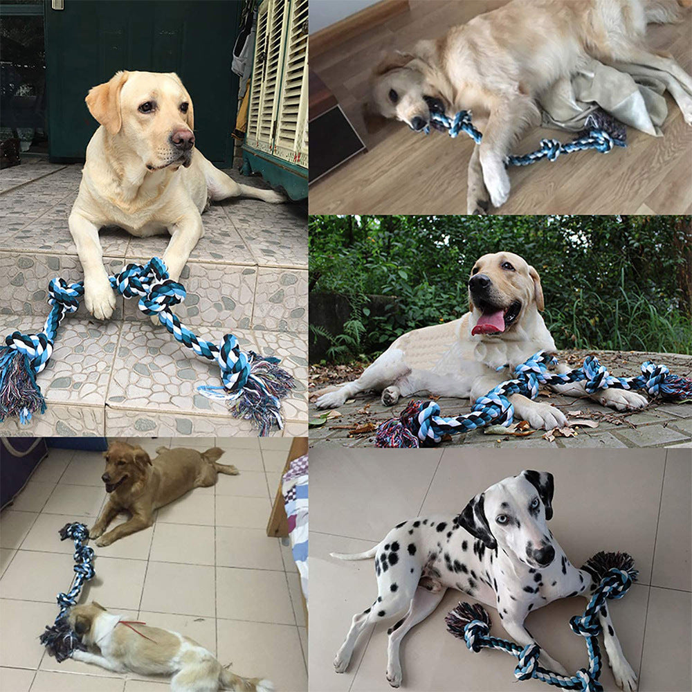 Collage of dogs with large durable blue cotton rope chew toys for healthy teeth and play