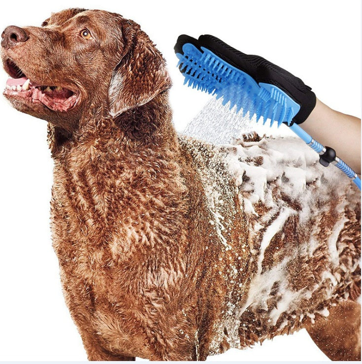 Hand wearing black glove using blue pet shower brush with water spray on wet brown dog