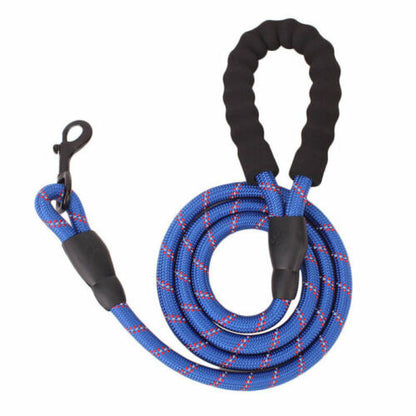Blue reflective nylon dog leash with padded handle and metal clip for durable safe walks