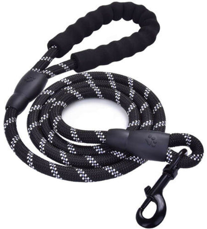 Black and white reflective nylon dog leash with padded handle and durable metal clip