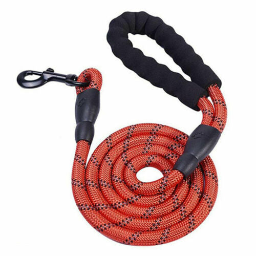 Durable red reflective nylon dog leash with padded handle and metal clasp for safe walks