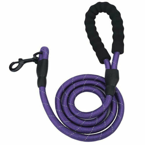 Purple reflective nylon dog leash with padded handle and metal clip on white background