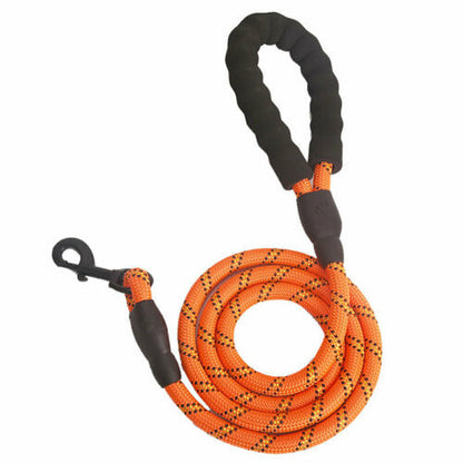 Orange reflective nylon dog leash with black padded handle and metal clip for safe walking