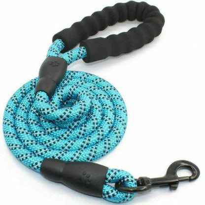 Blue reflective nylon dog leash with padded black handle and metal clip for safe walking