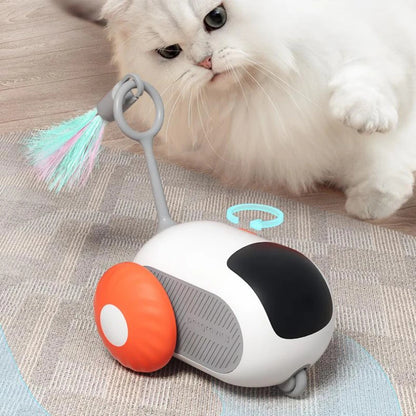 White fluffy cat playing with interactive remote control toy car with colorful feather attachment