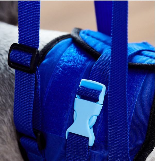 Close-up of adjustable blue dog assist harness with durable straps and plastic buckles