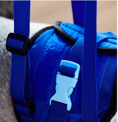 Close-up of adjustable blue dog assist harness with durable straps and plastic buckles