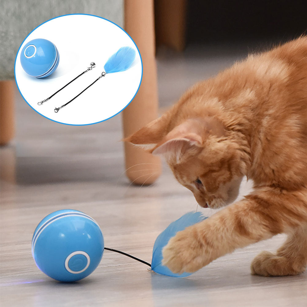 Orange tabby cat playing with a blue USB rechargeable smart cat ball toy with feather attachment on wooden floor