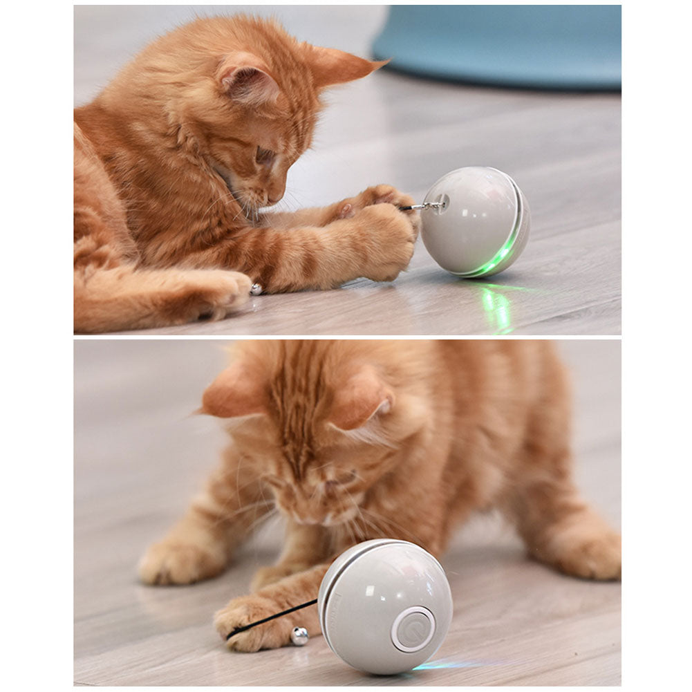Orange tabby cat playing with a white USB rechargeable LED laser ball toy on floor