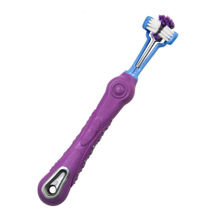 Purple and blue three-sided pet toothbrush with white bristles on white background