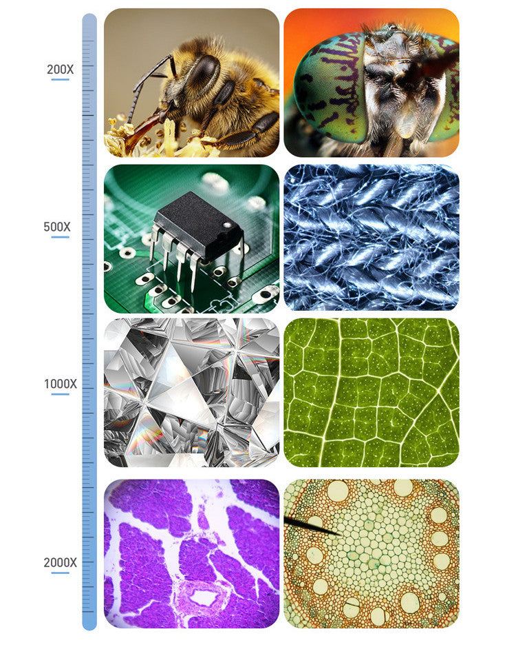 Microscopic images at 200X to 2000X magnification showing bee, insect eye, microchip, fabric fibers, crystal, leaf cells, tissue sample, and plant cells