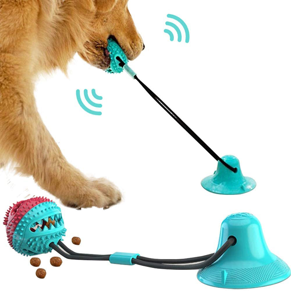 Golden retriever playing with blue interactive suction cup dog ball toy for dental cleaning and tug play