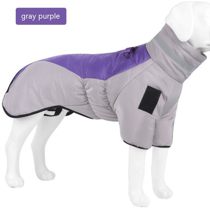gray and purple waterproof winter dog coat on white mannequin with high collar and velcro patches