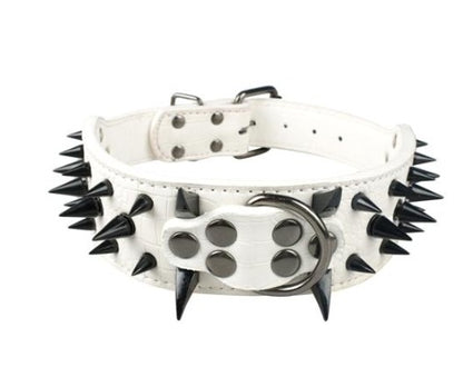 White leather dog collar with black spike studs, adjustable buckle, and metal hardware