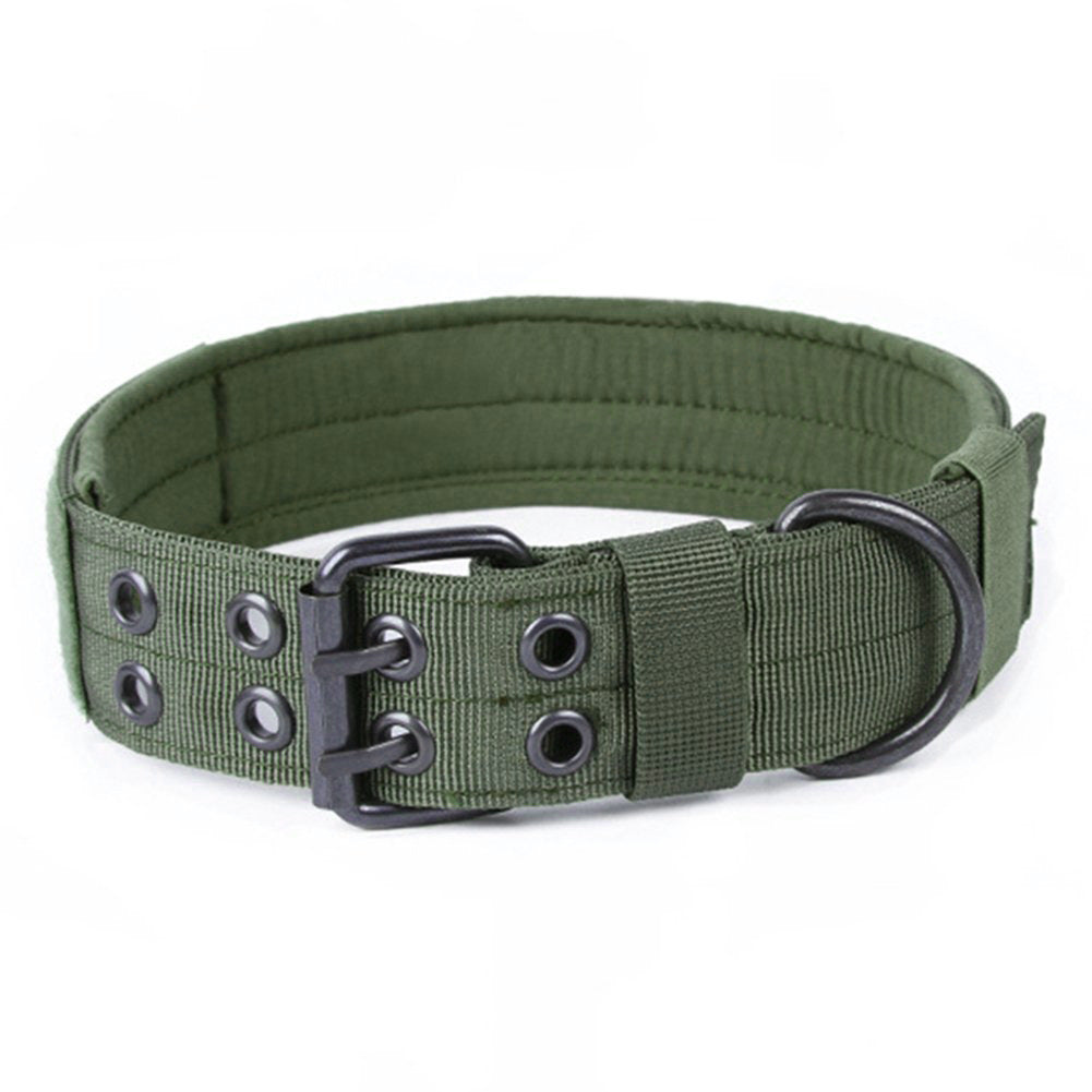 Adjustable padded olive green nylon dog collar with metal buckle and D-ring
