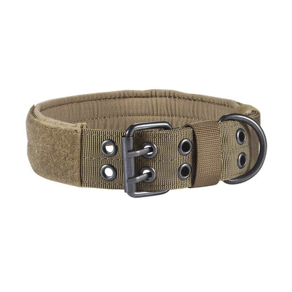 Adjustable padded nylon dog collar in olive green with metal buckle and D-ring