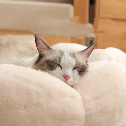 Sleeping cat with white and gray fur resting on a soft, plush, beige pet bed indoors