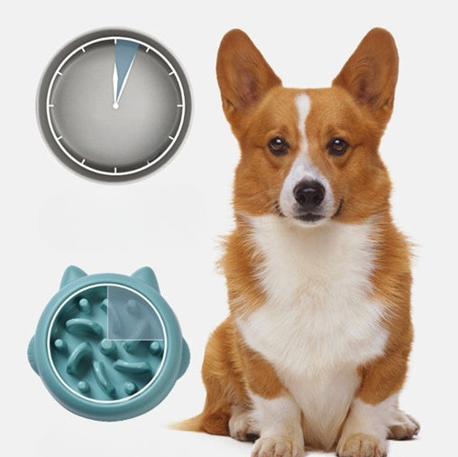 Corgi dog sitting next to a blue slow feeder bowl with bone-shaped design and anti-gulping features