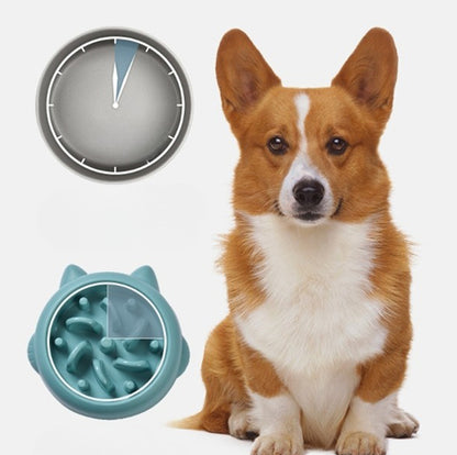 Corgi dog sitting next to a blue slow feeder bowl with bone-shaped design and anti-gulping features