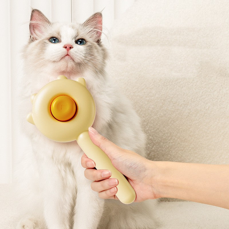 Hand holding yellow pet grooming brush near white cat with blue eyes on beige background