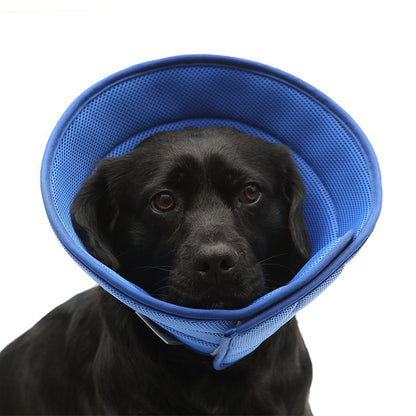 Black dog wearing a blue soft adjustable Elizabethan recovery collar cone on white background