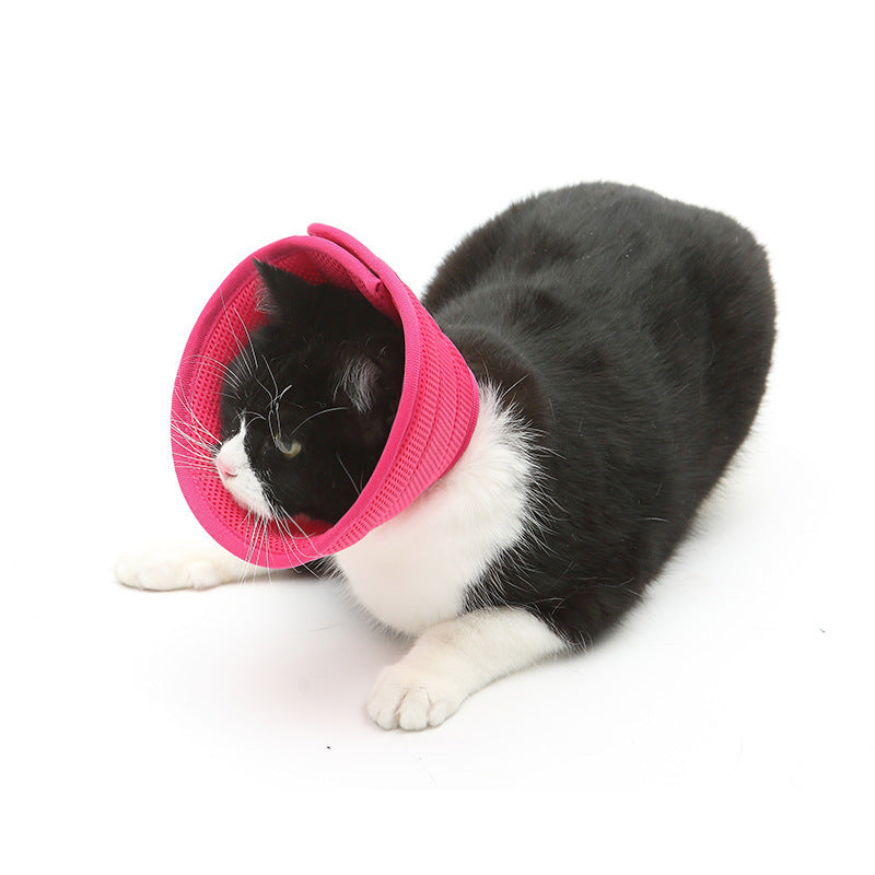 Black and white cat wearing a pink soft Elizabethan recovery collar on white background