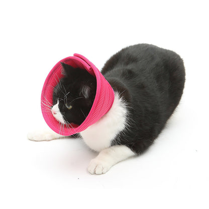 Black and white cat wearing a pink soft Elizabethan recovery collar on white background