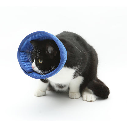 Black and white cat wearing a blue soft pet recovery collar on white background