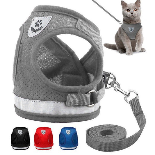 Grey breathable dog harness with reflective mesh and metal hardware, shown with leash and cat model, plus red, blue, black color options