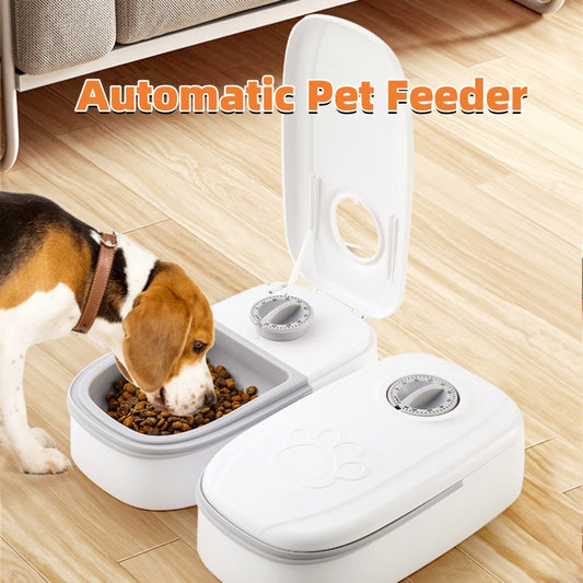 Beagle dog eating from gray automatic pet feeder with dual meal timer on wooden floor