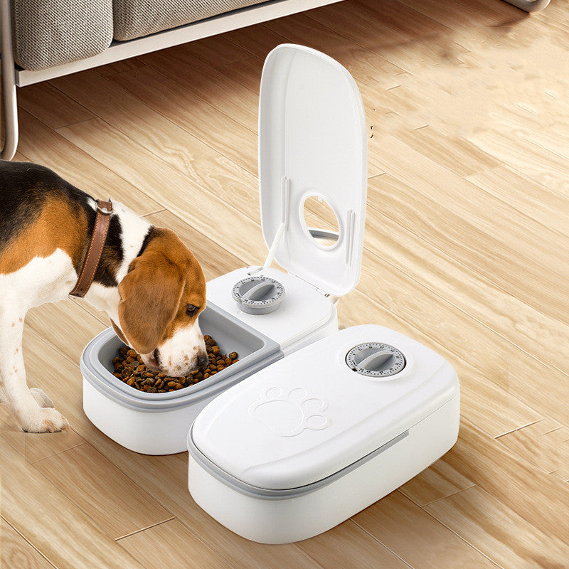 Beagle dog eating from white automatic dual pet feeder with timer dials on wooden floor