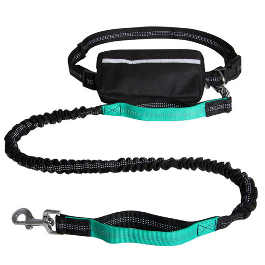 Lake blue hands free reflective nylon dog leash with black waist pouch and padded handle