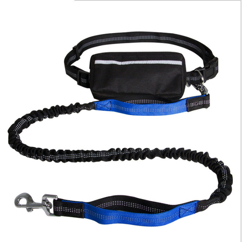 Hands-free reflective nylon dog leash with black waist pouch and blue padded handle for outdoor walking
