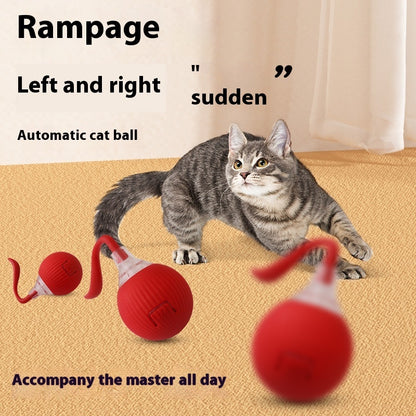 Grey tabby cat playing with red interactive automatic rolling cat toy ball on beige carpet