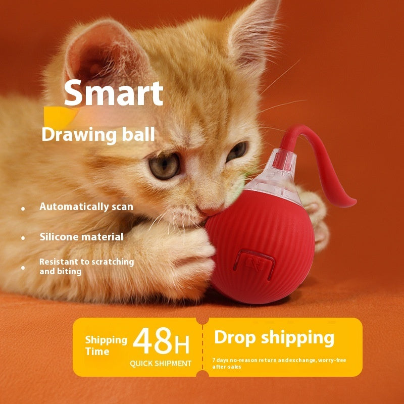 Orange kitten playing with red smart drawing ball cat toy on orange background
