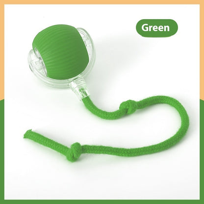 Green interactive cat toy ball with textured surface and attached green rope for playful pets