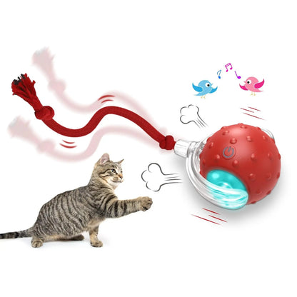 Tabby cat playing with red interactive smart rolling ball toy with attached red rope