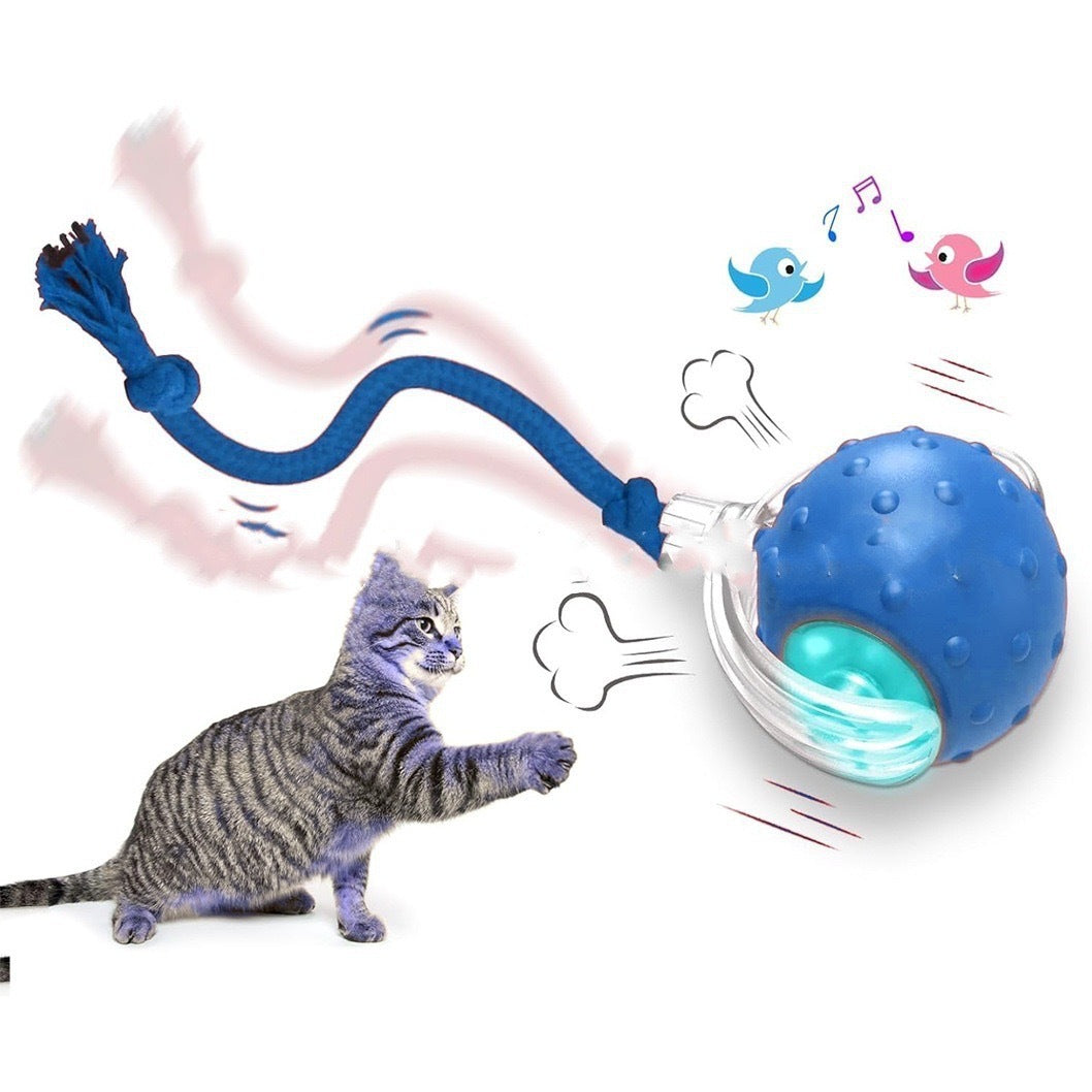 Tabby cat playing with interactive blue ball toy with rope and motion effects