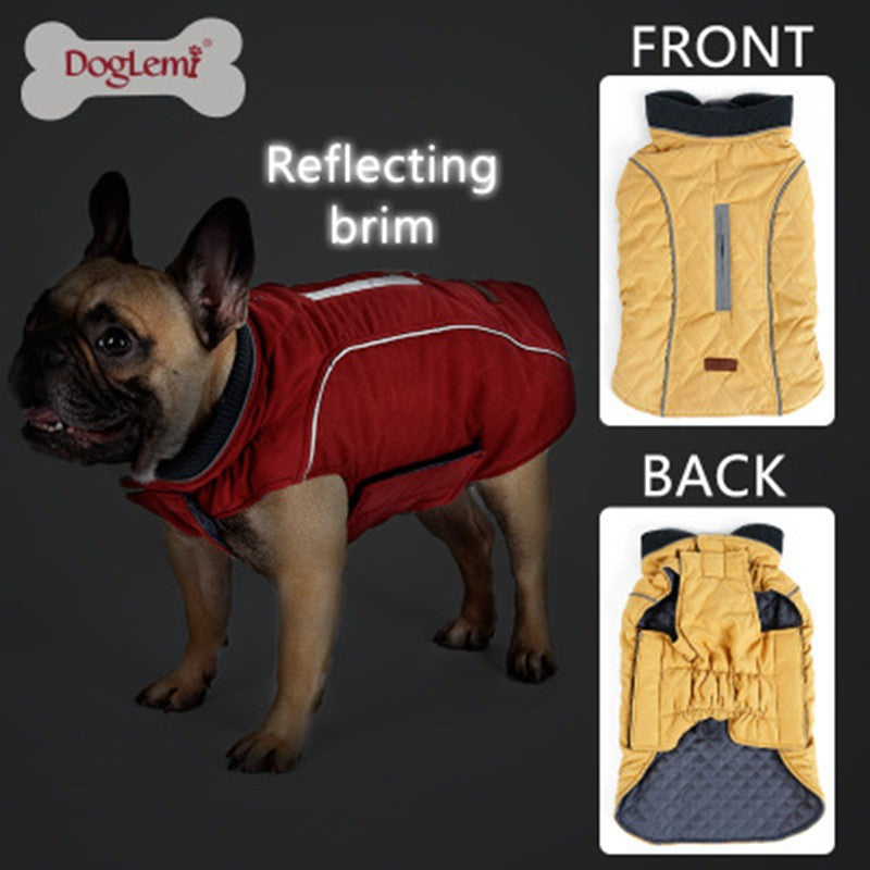 French Bulldog wearing a red dog jacket with reflecting brim, plus images of yellow jacket front and back views