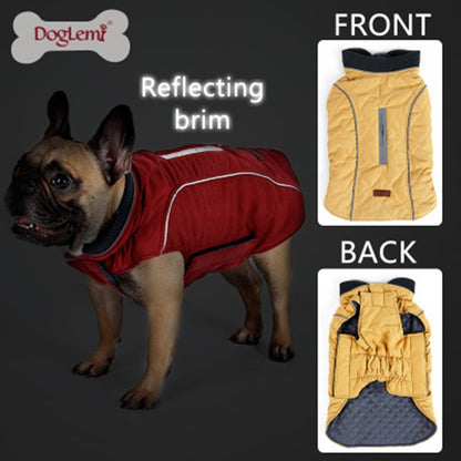 French Bulldog wearing a red dog jacket with reflecting brim, plus images of yellow jacket front and back views