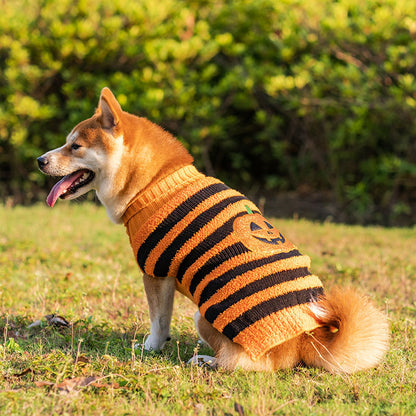 Shiba Inu dog wearing cozy orange and black striped Halloween sweater with pumpkin design outdoors