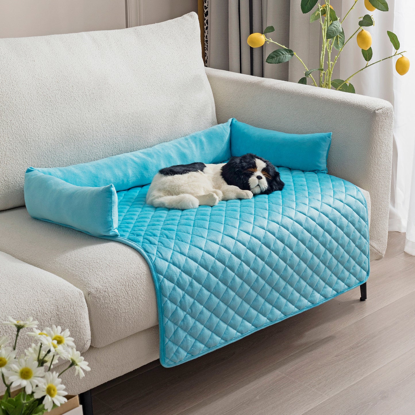 Small black and white dog resting on a turquoise quilted pet sofa bed placed on a beige couch