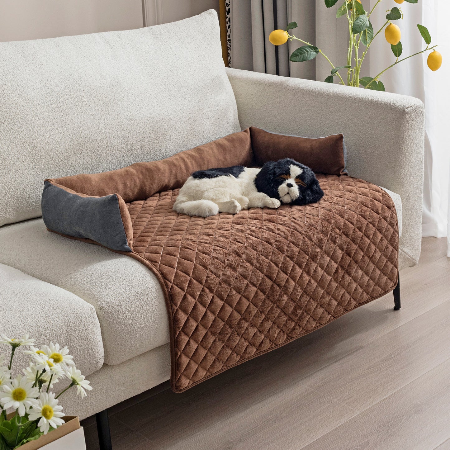 Brown quilted pet sofa bed with plush sides and a black and white dog lying on beige modern couch