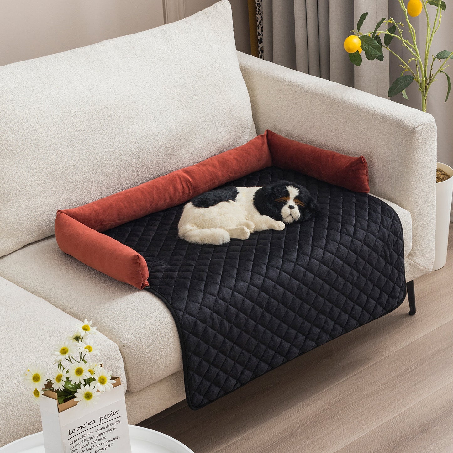 Small black and white dog resting on black quilted pet sofa bed with rust-colored bolsters on white couch
