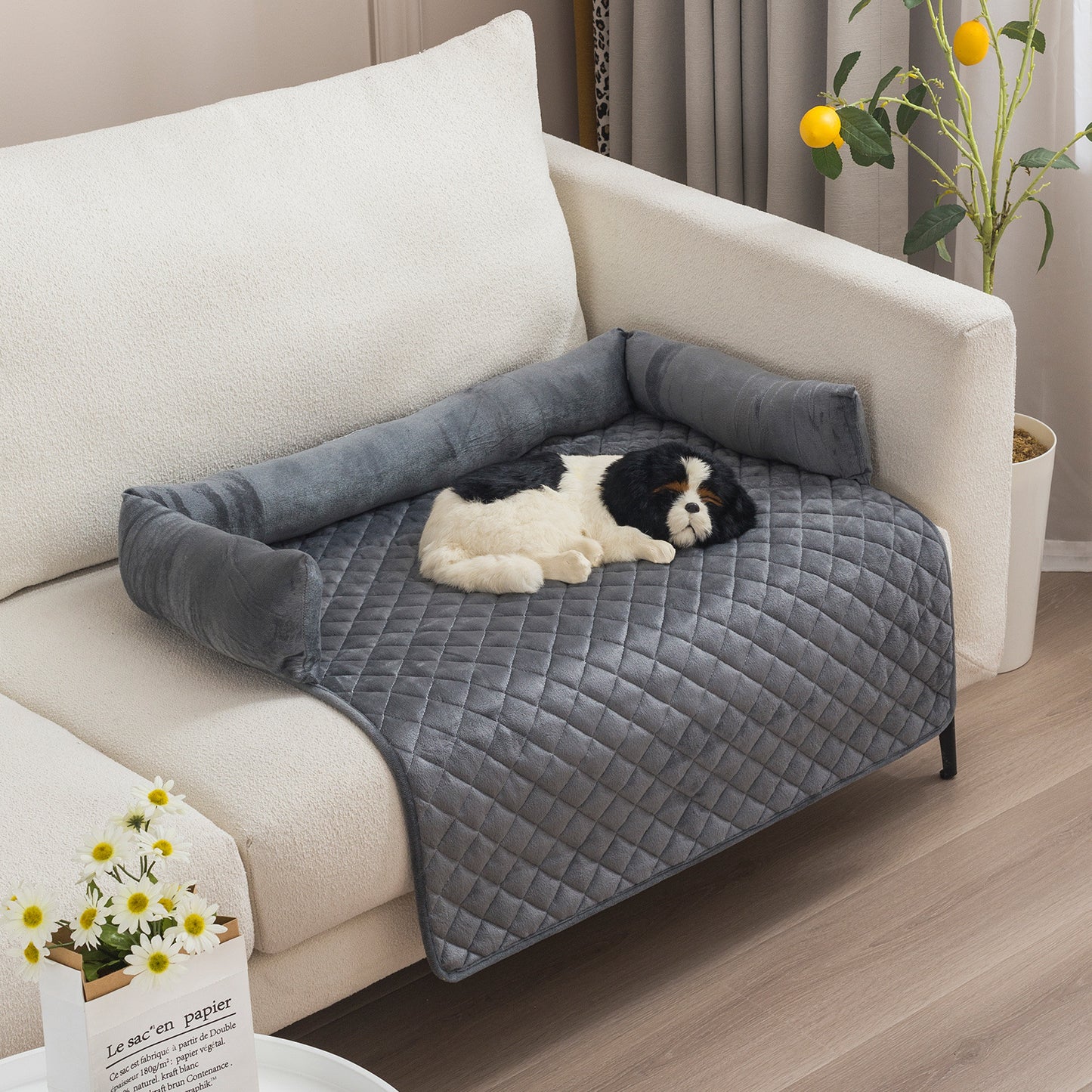 Cozy gray quilted pet sofa bed with raised bolsters on white couch, small black and white dog sleeping
