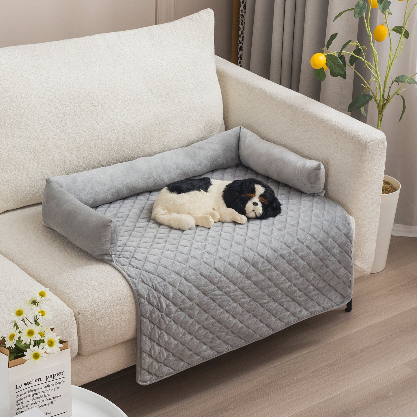 Cozy gray pet sofa bed with raised edges and quilted mat on cream sofa, small black and white dog resting