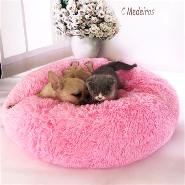 Small dog and gray kitten resting together in a round pink plush pet bed with white flowers in the background