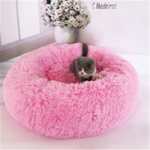 Gray and white kitten resting on a round pink plush pet bed with a vase of white flowers in the background