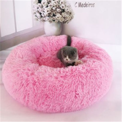 Gray and white kitten resting on a round pink plush pet bed with a vase of white flowers in the background