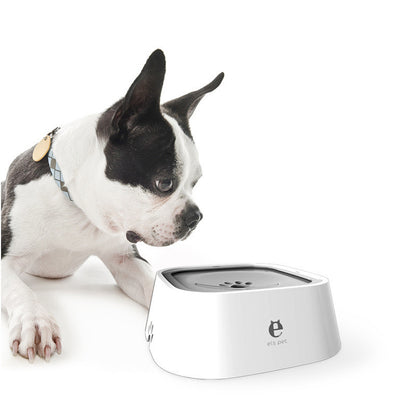 Boston Terrier dog looking at white slow feeder pet bowl with black anti-overflow lid